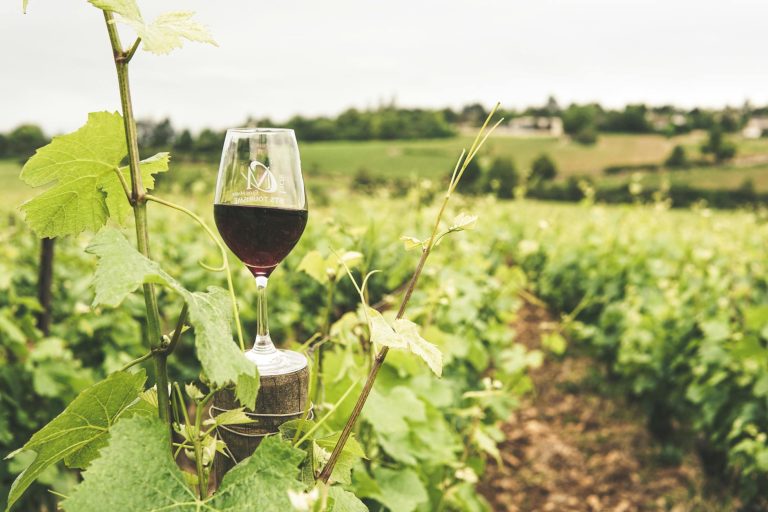 The History of Winemaking in the Loire Valley