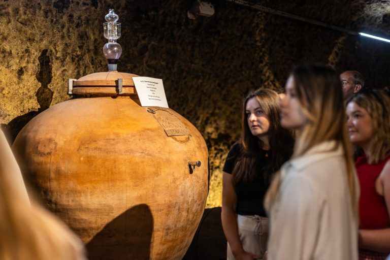 Private Wine Event in Loire Valley