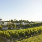 chinon