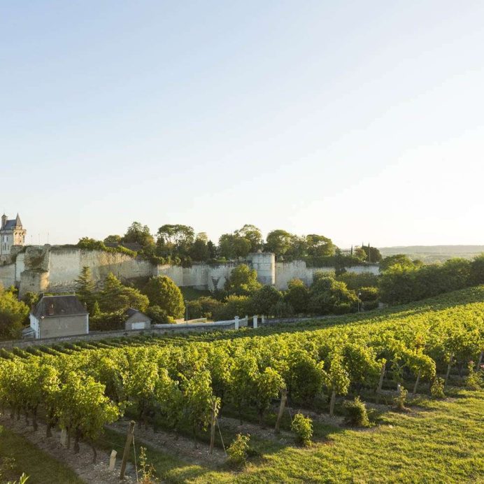 chinon