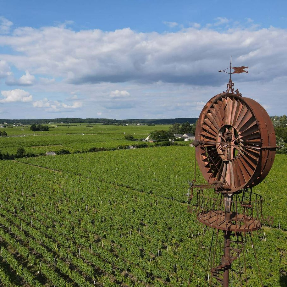 Bourgueil