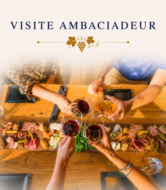 "AMBACIADEUR" VISIT 12H00